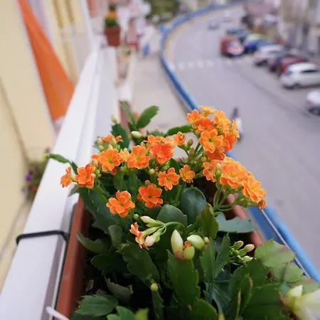 Nodo Francescano Alojamento de Acomodação e Pequeno-almoço 4*