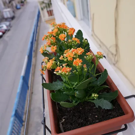 Bed & Breakfast Nodo Francescano Porto Empedocle